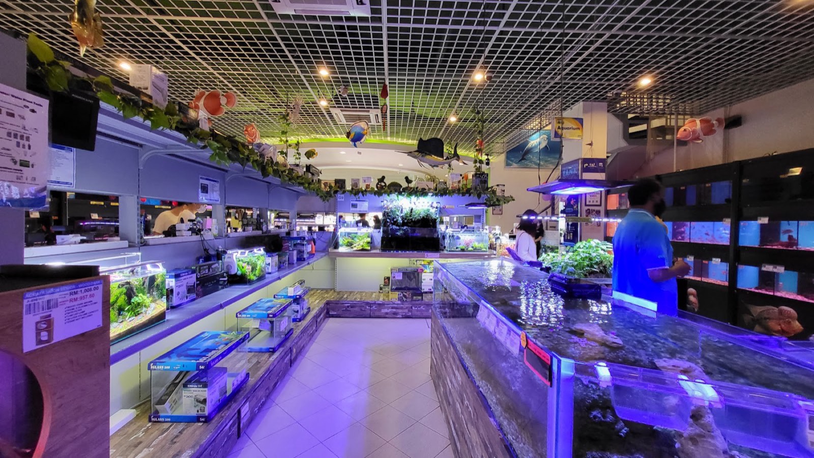 Rows of glowing freshwater and marine aquariums in the main aquatic hall
