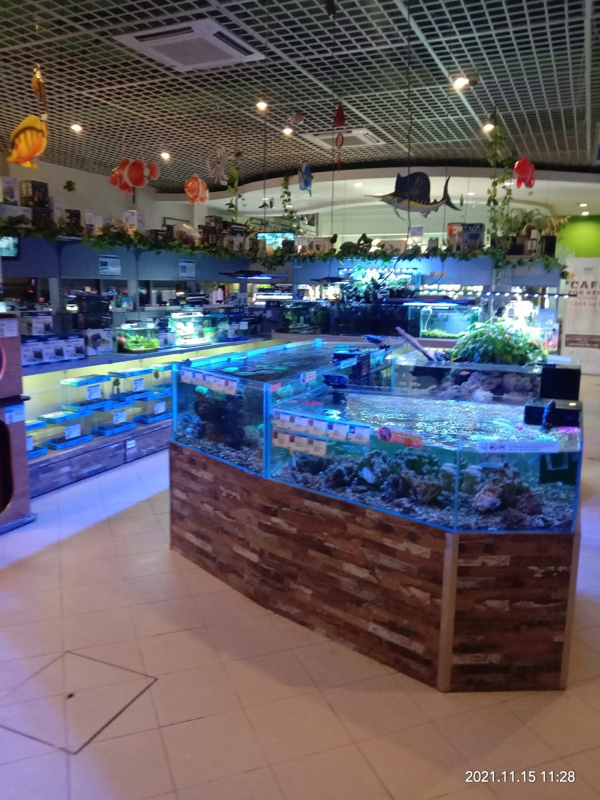 The blue-lit marine and freshwater hall with rows of stocked tanks
