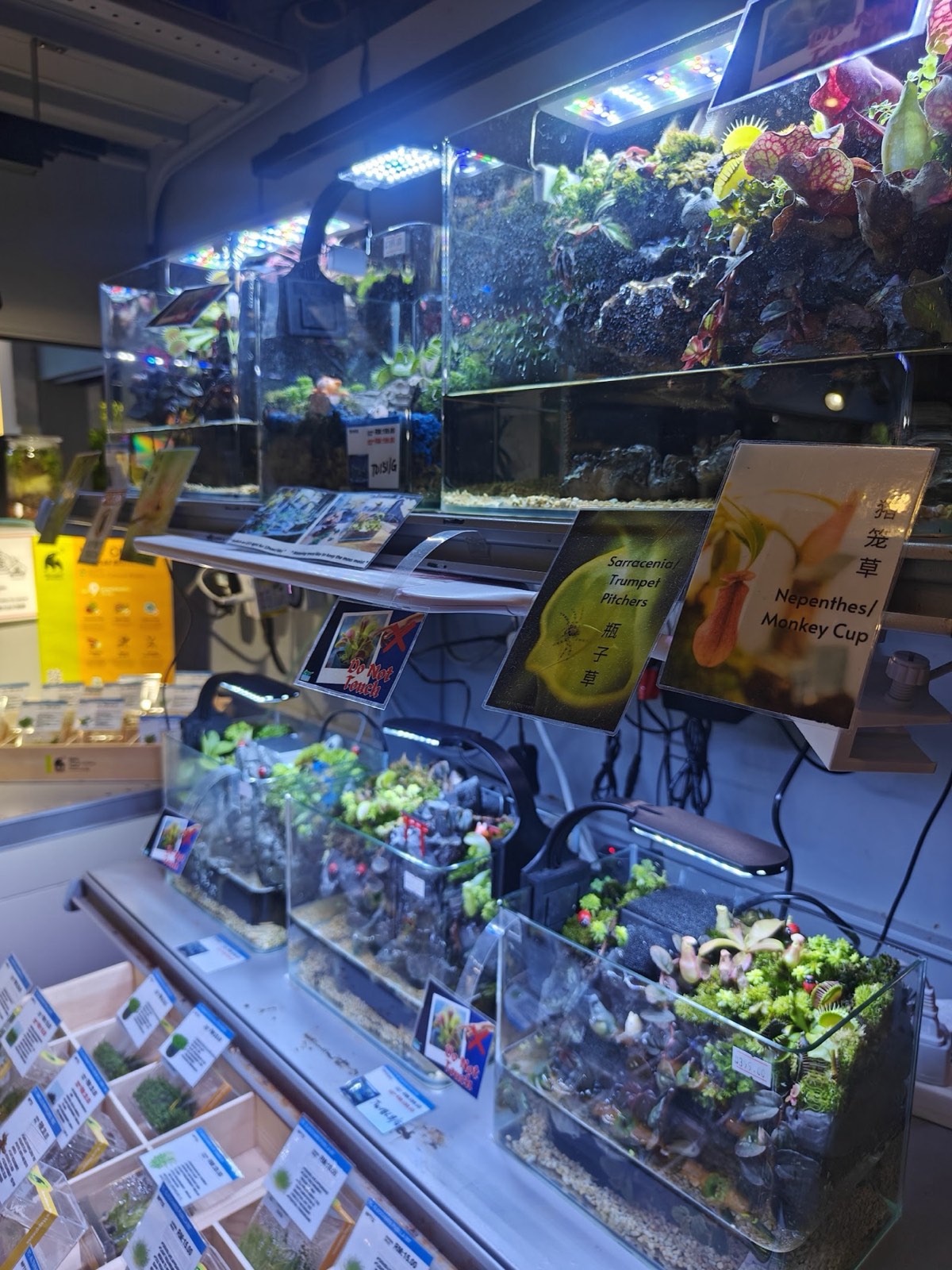 A wall of nano aquascapes and carnivorous-plant terrariums under grow lights